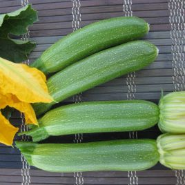 КАБАЧОК МЕРЛІН INX 10554 F1 100/1000 насінин