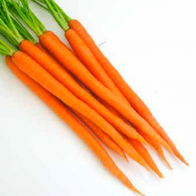 Евора 100000 насінин