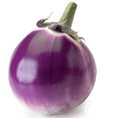 БЕАТА F1 / BEATA F1