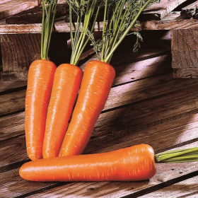 245-610 F1 250г насіння