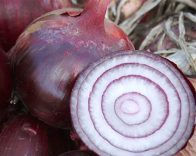 КАУНТАЧ F1 100000 насінин