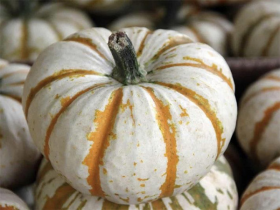 ГАРБУЗ КЕМОН F1 1000 насінин