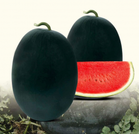 Реві F1 1000 насінин