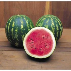 КАВУН КРІМСОН СВІТ / KRIMSON SWEET 0,5/5кг.