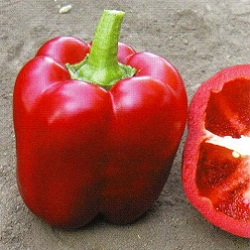 ПЕРЕЦЬ СОЛОДКИЙ ФЬОРСТ F1 100/500/1000 насінин