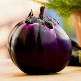 Бриска F1 1000 насінин