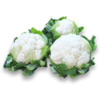 ФУЛЬМІНЕ F1 FULMINE F1 1000 насінин