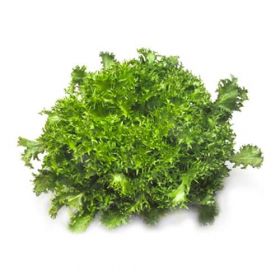 САЛАТ ЕНДІВІЙ СІГАЛ / CIGAL 1000/5000 насінин