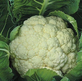 Супер сноу бол 100/500г