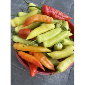 ПЕРЕЦЬ ГОСТРИЙ ДЕДО F1 500 насінин