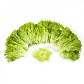 САЛАТ САЛАНОВА ЕКЗЕКТ / EXACT 1000/5000 насінин