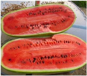 Чарльстон Грей 500г