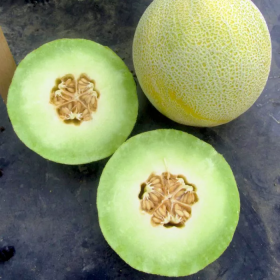 Галанет F1 1000 насінин