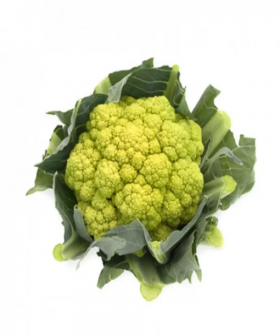 КАПУСТА ЦВІТНА ГІЛЬВЕРДЕ F1 / GILVERDE F1 1000/2500 насінин