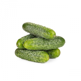 ОГІРОК КОНЦЕРТ F1 / KONZERT F1 250/1000 насінин