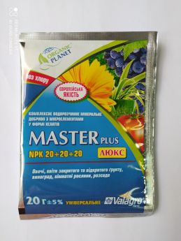 Master / МАСТЕР 20-20-20 20 гр.