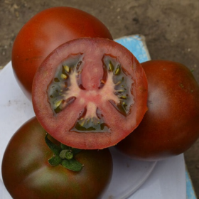 ТОМАТ ДЖОРДАНО F1 250/1000 насінин