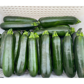 КАБАЧОК КЕФРЕН F1 100 насінин