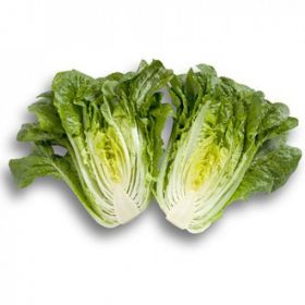 САЛАТ РОМЕН КЛАУДІУС/CLAUDIUS 1000/5000 насінин