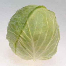 ФЕЛІССІМА F1 1000/2500 насінин