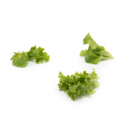 САЛАТ Д/Л КУЛТХАРД 100 000 насінин