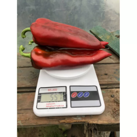 ПЕРЕЦЬ СОЛОДКИЙ ЛІРА СПАРК F1 500 насінин