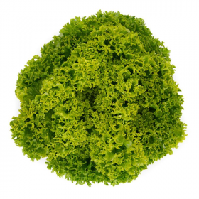 САЛАТ Л/Б ЛІСБОА 1000/5000 насінин