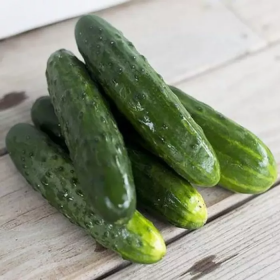 Ловелі F1 1000 насінин