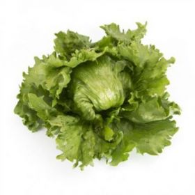 САЛАТ АЙСБЕРГ МЕРЛІНАС/MERLINAS 1000/5000 насінин