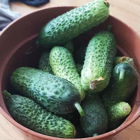 ОГІРОК МОЗАІК F1 250/500 насінин