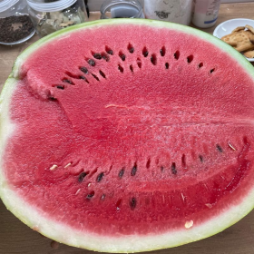 КАВУН РЕД БЕРРІ F1 1000 насінин