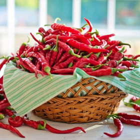 Піноккіо F1 1000 насінин