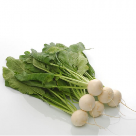 РІПА ТОКІО ТОП F1 10/100гр