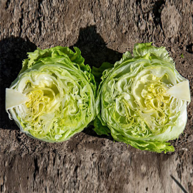 САЛАТ АЙБЕРГ ФІЛЕМО