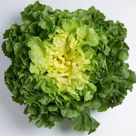 САЛАТ ЕНДІВІЙ МАРАТОНЕТТА