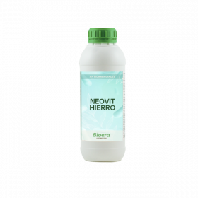 Неовіт Hierro