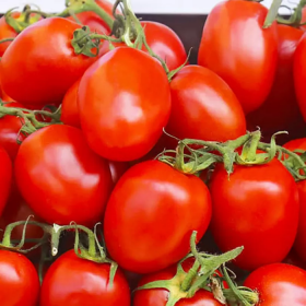 Омнія F1 1000 насінин