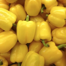 Оростар F1 1000 насінин