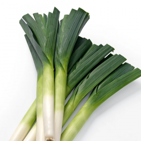 ЦИБУЛЯ ПОРЕЙ ОСЛО F1 5000 насінин