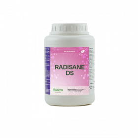 Радісан DS
