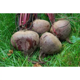 Рэд Бул F1 1кг