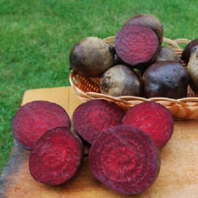 Рeд Сан F1 5000 насінин