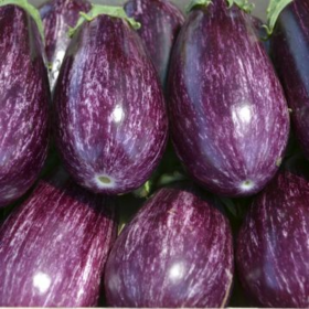 БАКЛАЖАН РІКО F1 100/1000 насінин