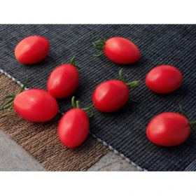 ТОМАТ РОЗЕСТАР F1 50/500 насінин