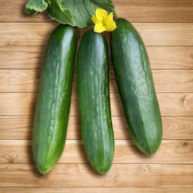 Салім F1 1000 насінин