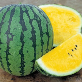 Оранж Кінг F1 1000 насінин