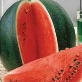 Шуга Бейби 500г