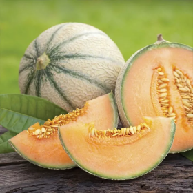 Портенто F1 1000 насінин