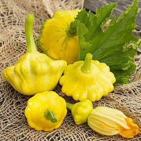 САННІ ДЕЛАЙТ F1 100 насінин