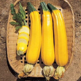 Єлоу Хаус 500/1000 насінин